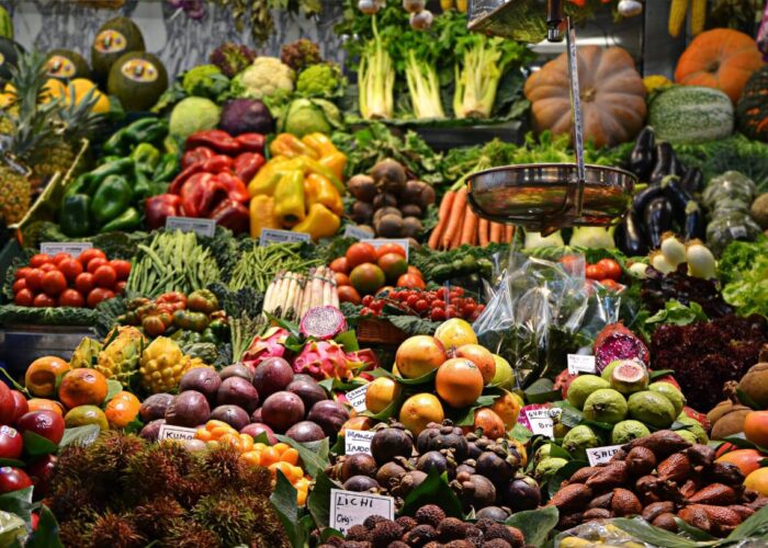 The Road Back: Nutrition and the Path to Recovery